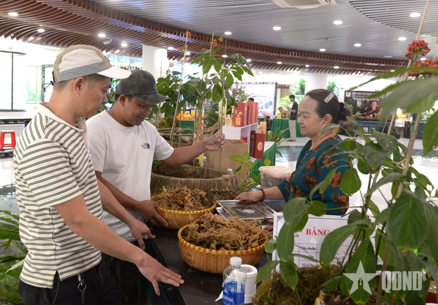 Đà Nẵng mở hướng phát triển công nghiệp dược liệu